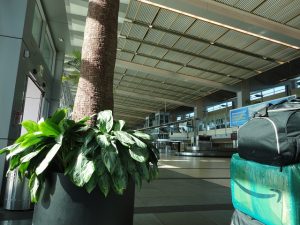 San Diego airport waiting area